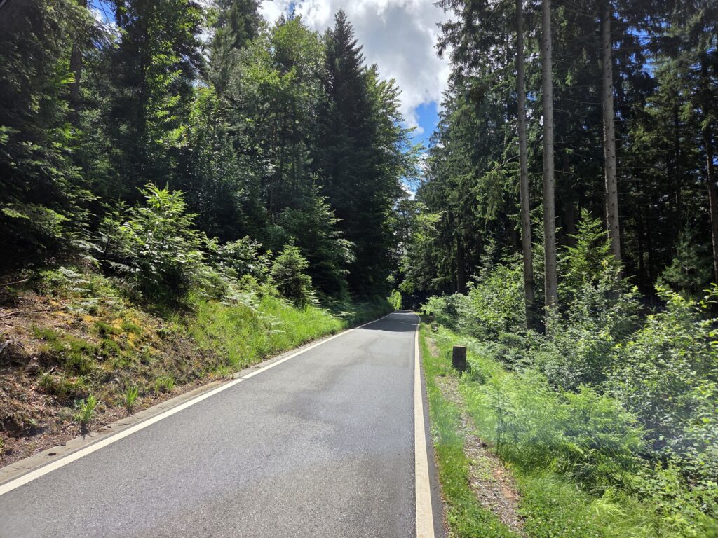 Wald nahe Firmengelände K-D Hermann GmbH